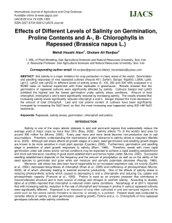 Effects of Different Levels of Salinity on Germination, Proline