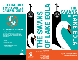 guide - City of Orlando