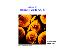 Lecture 4: Review of Lipids (Ch. 9)
