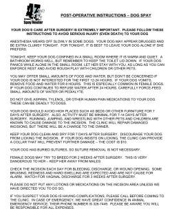 Post Operation Dog Spay PDF - Arizona Spay Neuter Clinic