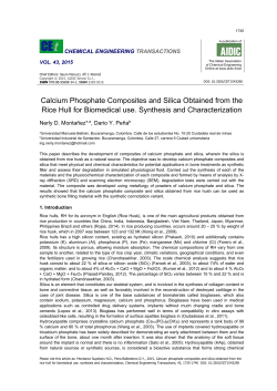 Calcium Phosphate Composites and Silica Obtained from the Rice