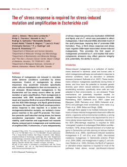 The E stress response is required for stressinduced mutation and