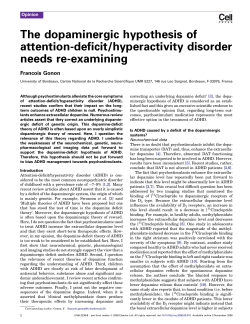 The dopaminergic hypothesis of attention