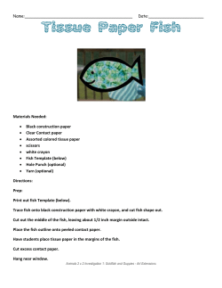 Tissue Paper Fish