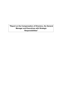 Report on compensation policy