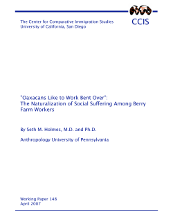 as a PDF