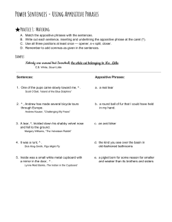 Power Sentences - Using Appositive Phrases