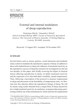 External and internal modulators of sheep reproduction
