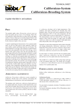 Technical Sheet