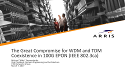 The Great Compromise for WDM and TDM Coexistence in 100G