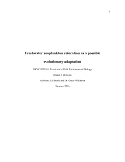 Freshwater zooplankton coloration as a possible
