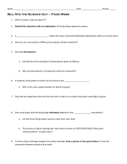 Bill Nye Food Web Questions