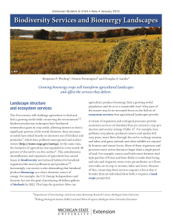 Biodiversity Services and Bioenergy Landscapes