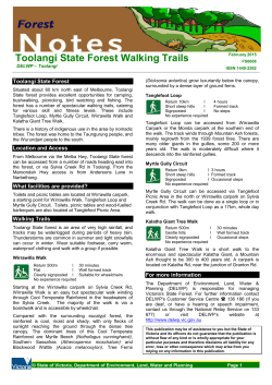 Toolangi State Forest Walking Trails