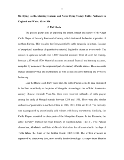 Paper - Yale Economics