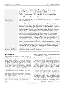 Fermentation enzymes of Giardia intestinalis