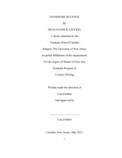 HANDSOME REVENGE By DEAN PATRICK STECKEL A thesis