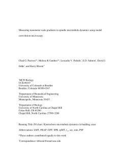 Measuring Nanometer Scale Gradients in Spindle Microtubule