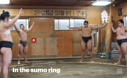 culture - Cedar Tree PR