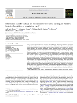 Information transfer in head-on encounters between leaf