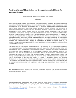 Dawit Woubishet - Ethiopian Economic Association