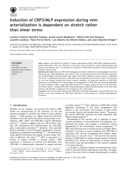 Induction of CRP3/MLP expression during vein arterialization is
