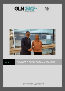 GLN Summer Clerk Programme guidelines