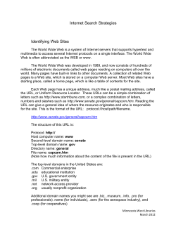 Internet Search Strategies Identifying Web Sites