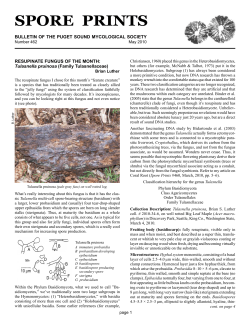 May - Puget Sound Mycological Society