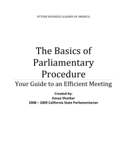 The Basics of Parliamentary Procedure