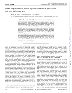 Serum response factor: master regulator of the actin - AJP-Cell