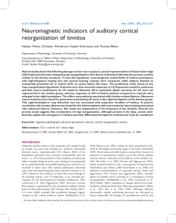 Neuromagnetic indicators of auditory cortical