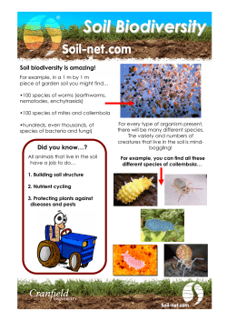 All posters  - Soil