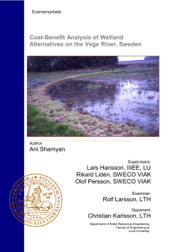 Cost-Benefit Analysis of Wetland Alternatives on the Vege River
