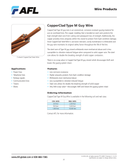 CopperCladType M Guy Wire