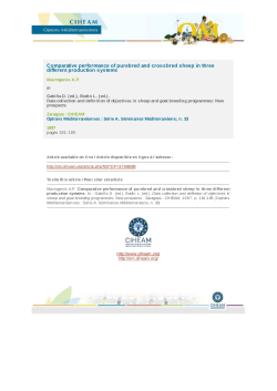 Comparative performance of purebred and crossbred