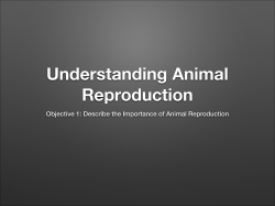 Describe the Importance of Animal Reproduction &bull; Reproduction