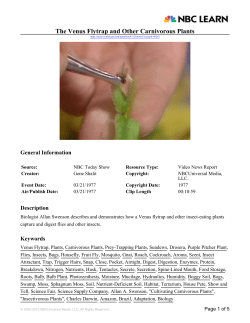 The Venus Flytrap and Other Carnivorous Plants