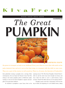 Kiva Fresh/Pumpkins