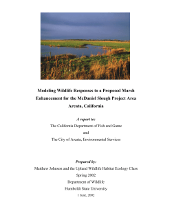 Modeling Wildlife Responses to a Proposed Marsh Enhancement for