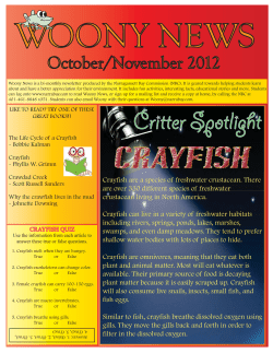 Critter Spotlight - Narragansett Bay Commission