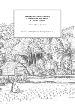 An Economic Analysis of Shifting Cultivation and Bush