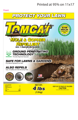 4 lbs 4 lbs 4 lbs 4 lbs