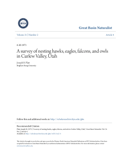 A survey of nesting hawks, eagles, falcons, and owls in Curlew