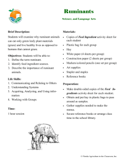 Ruminants - Florida Agriculture in the Classroom