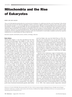 Mitochondria and the Rise of Eukaryotes