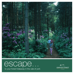 Griffon Forest Brochure