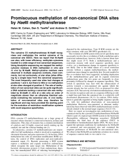 Promiscuous methylation of non-canonical DNA sites by HaeIII