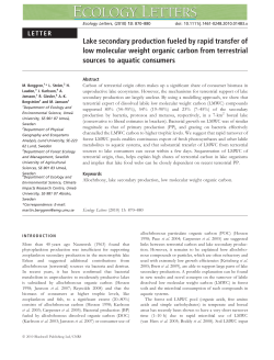 Lake secondary production fueled by rapid transfer of low molecular
