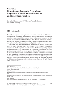 Evolutionary-Economic Principles as Regulators of Soil